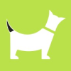 Supertails logo